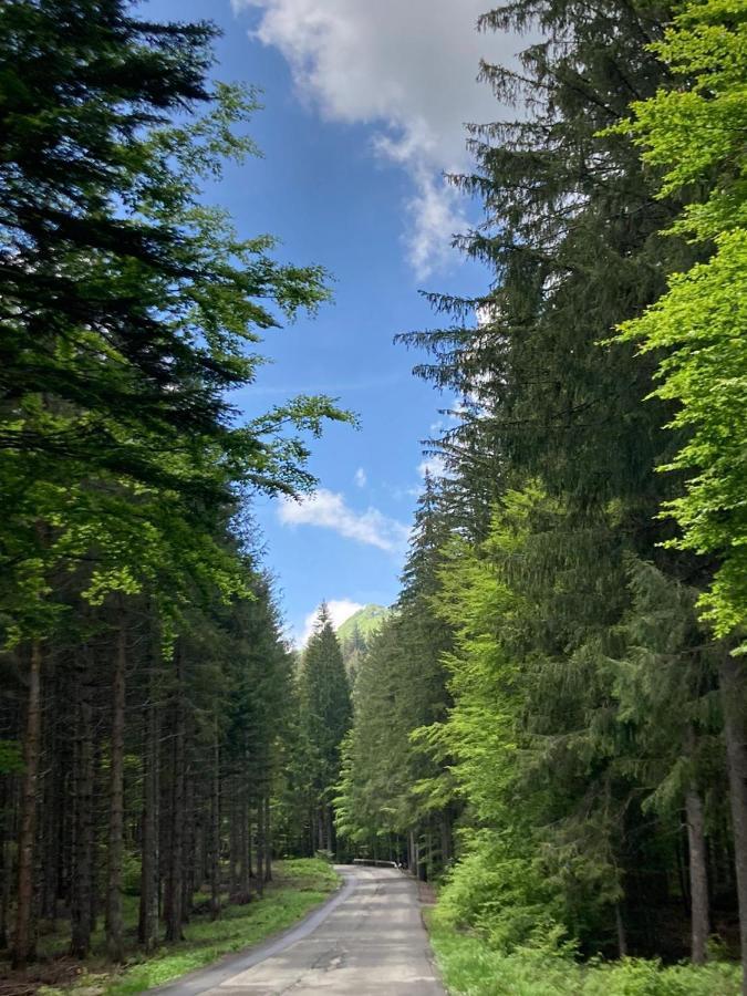 Appartamento Val Di Luce Relax Cristallo Abetone Exterior photo